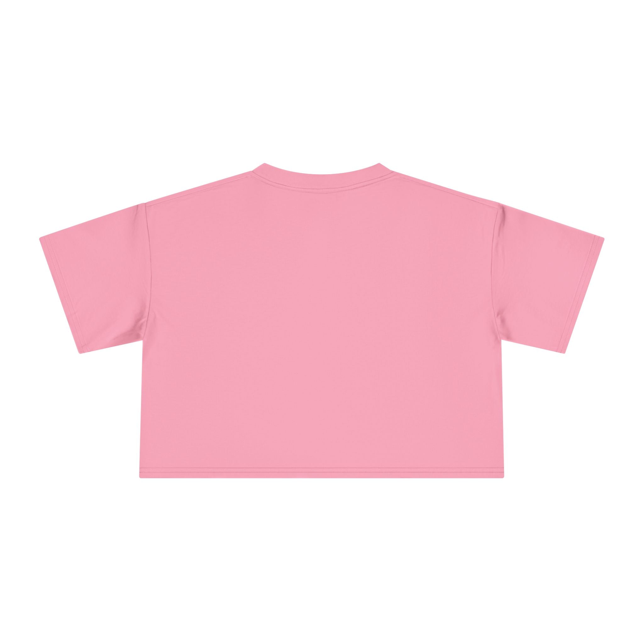 Crop Tee — "Why Fit In When You Were Born to Stand Out" Flamingo Graphic