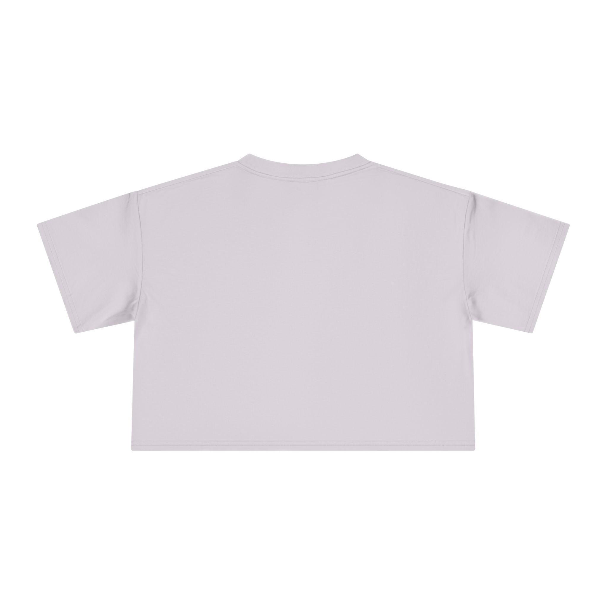 Crop Tee — "Why Fit In When You Were Born to Stand Out" Flamingo Graphic