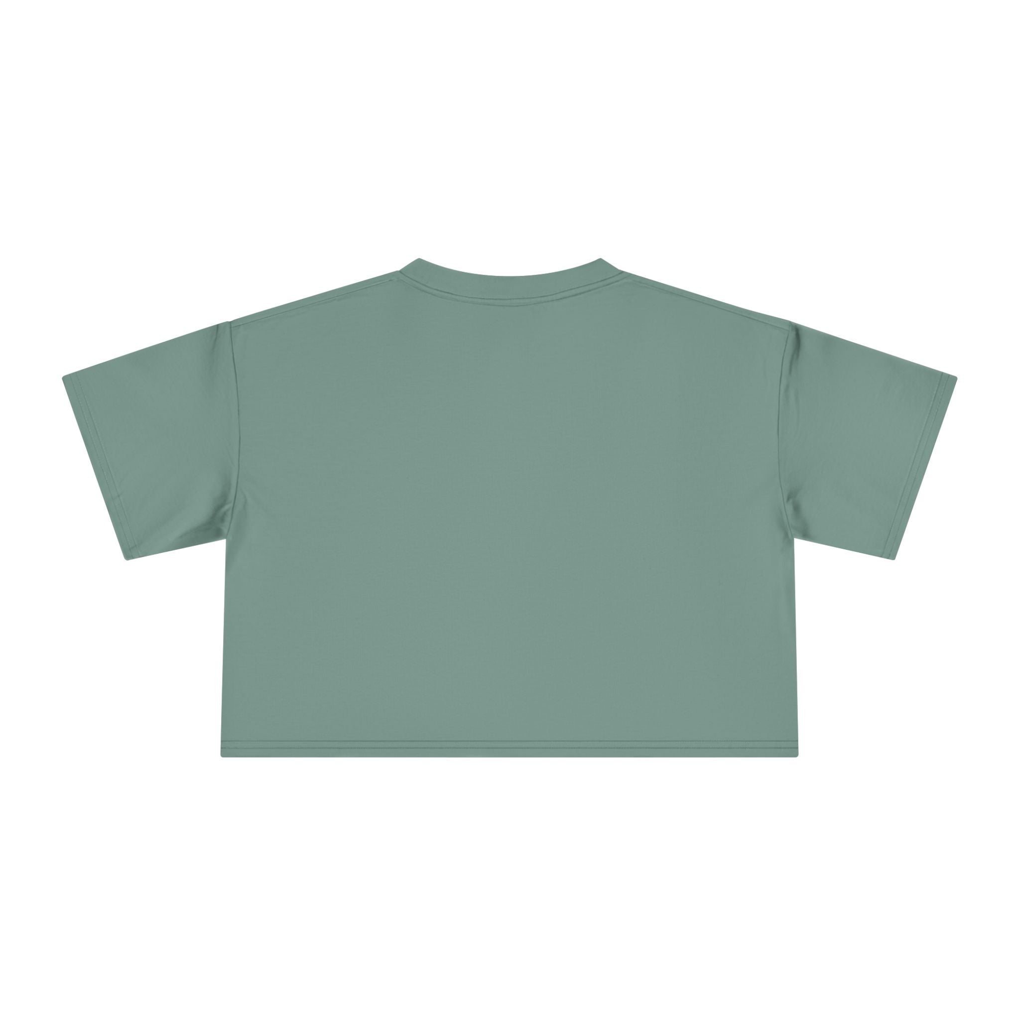 Crop Tee — "Why Fit In When You Were Born to Stand Out" Flamingo Graphic