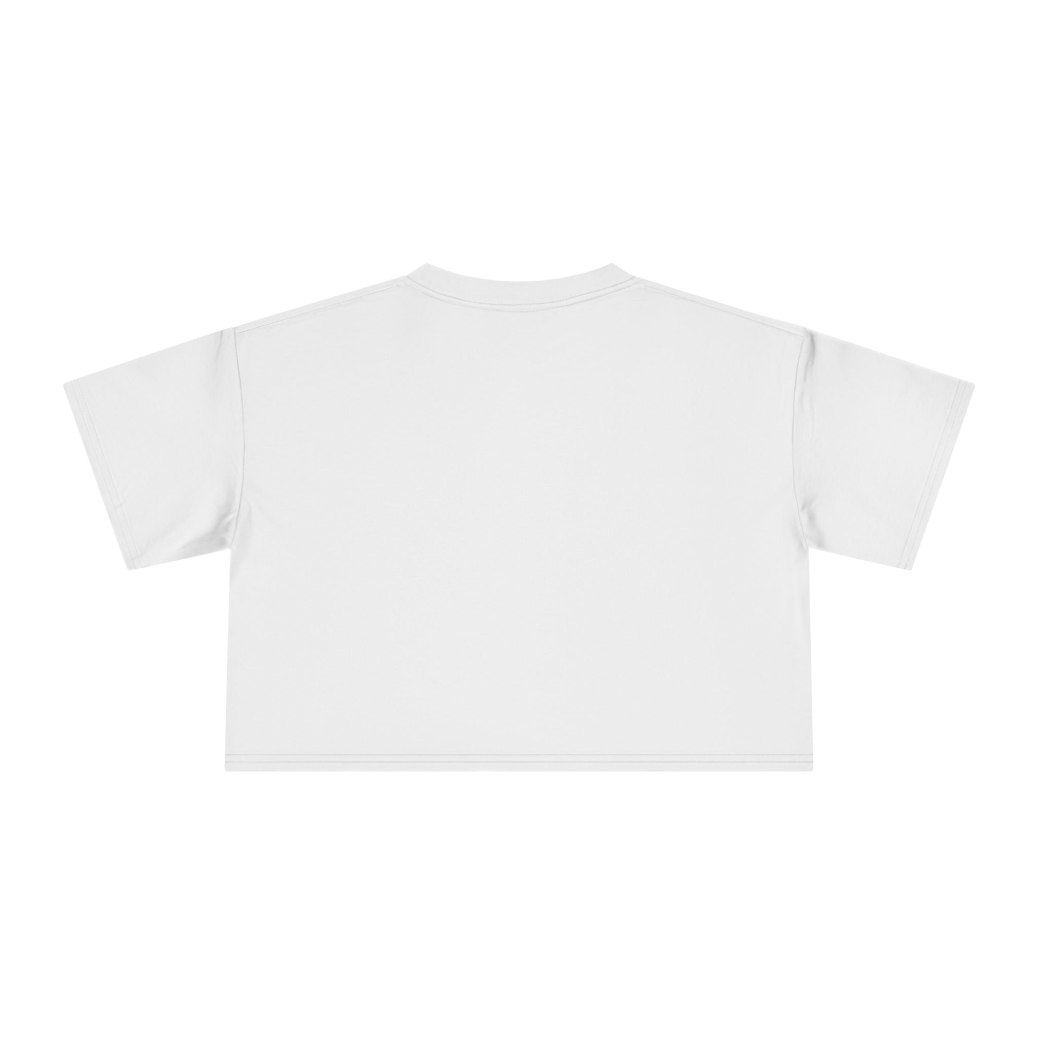 Crop Tee — "Why Fit In When You Were Born to Stand Out" Flamingo Graphic